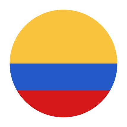 Bandeira do país