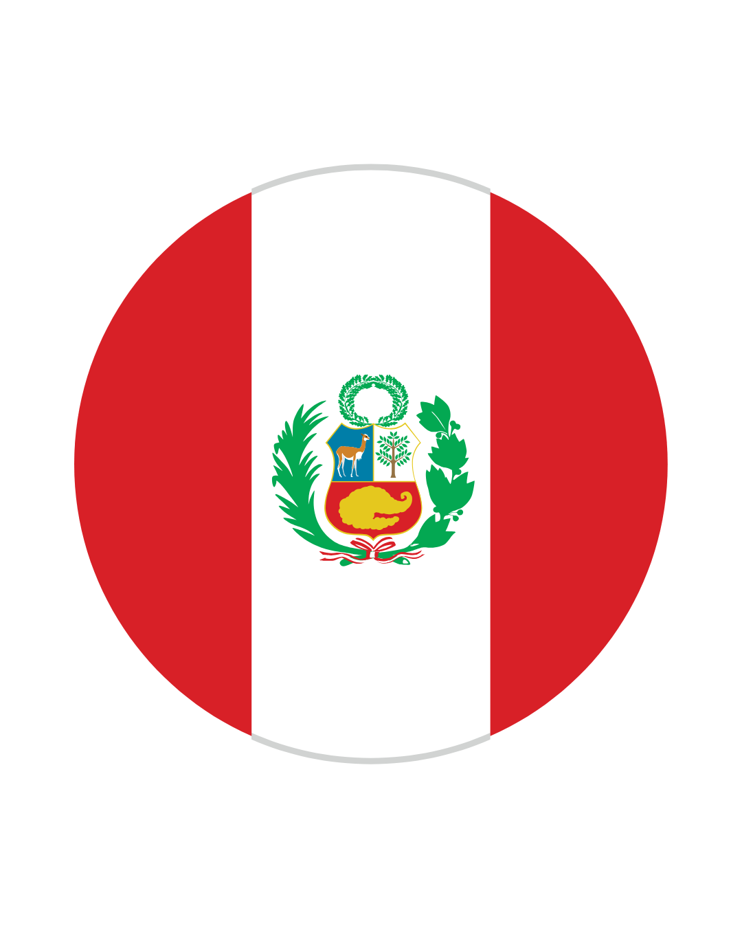 Bandeira do país