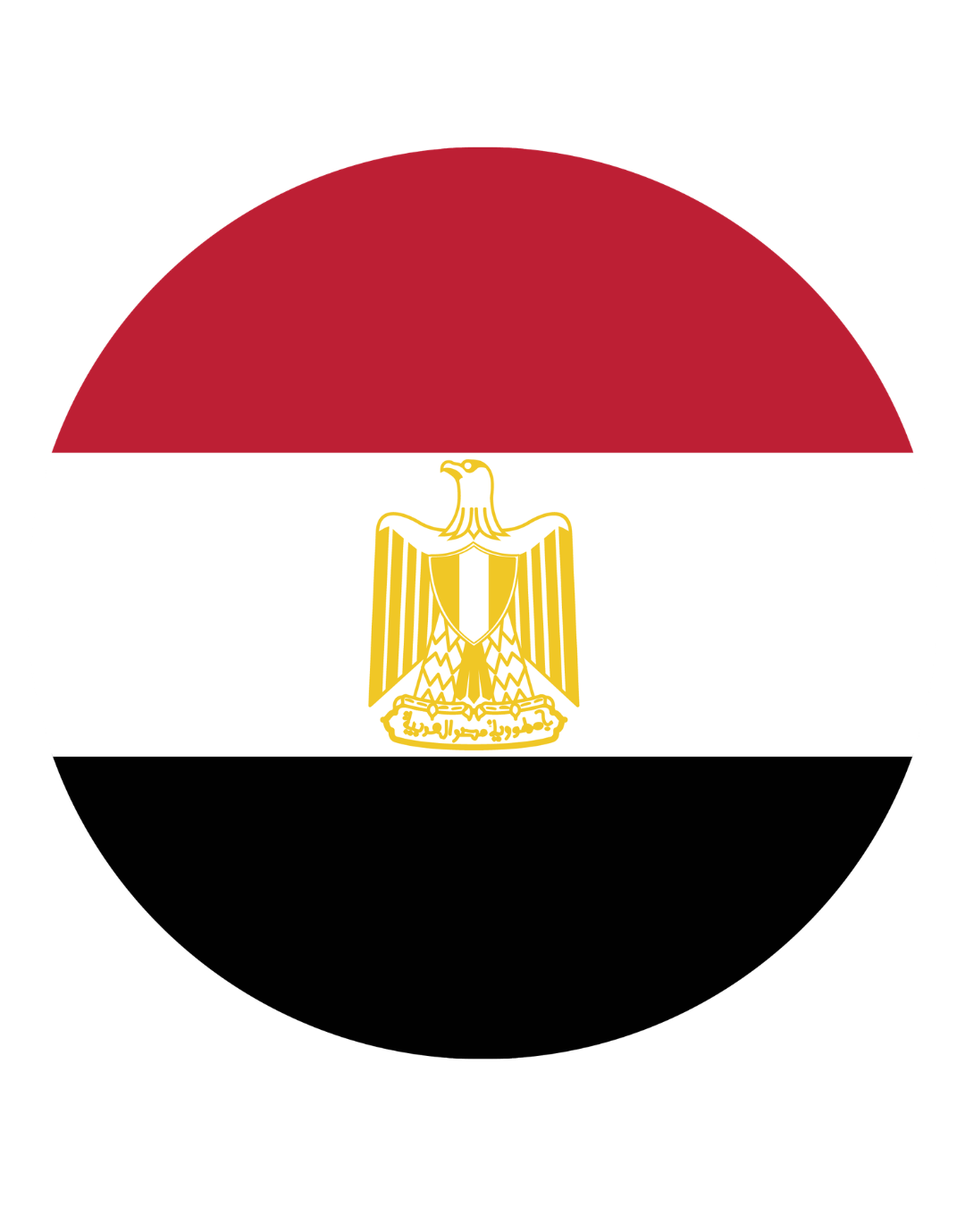 Bandeira do país
