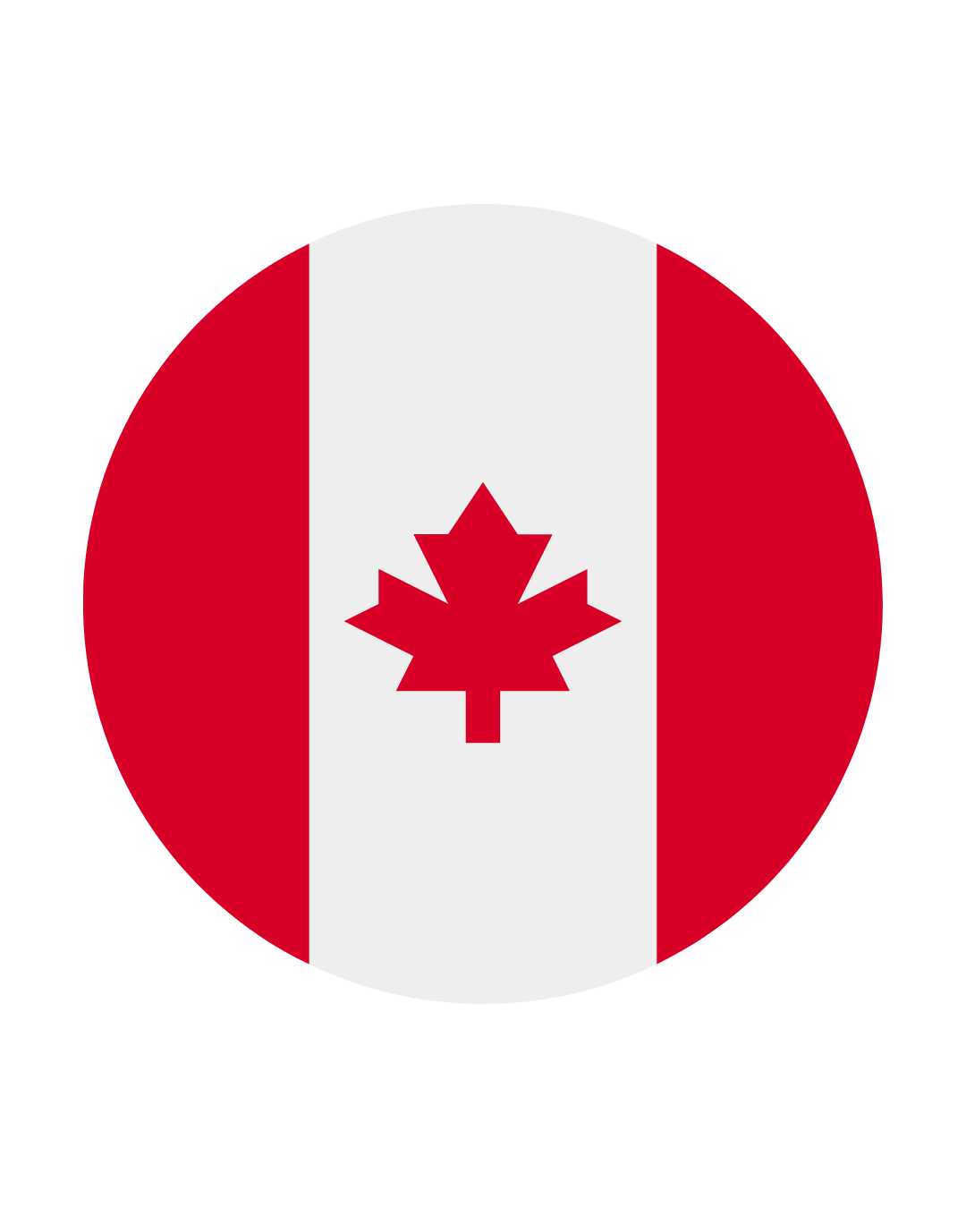 Bandeira do país