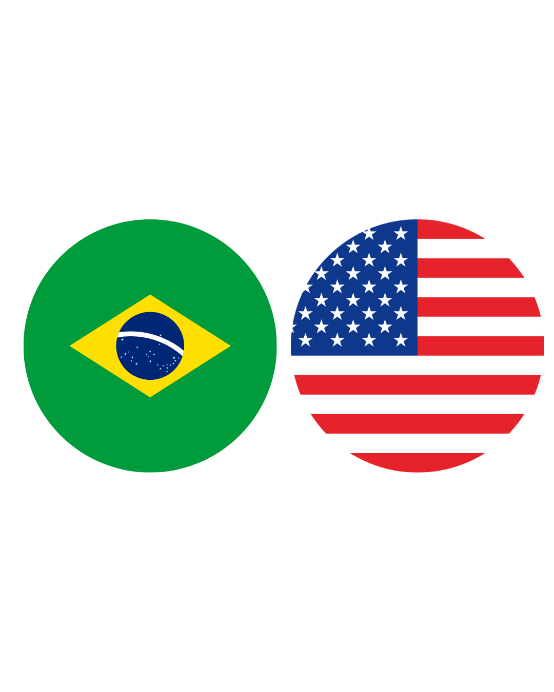 Bandeira do país
