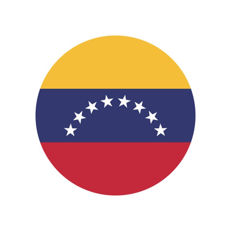 Bandeira do país